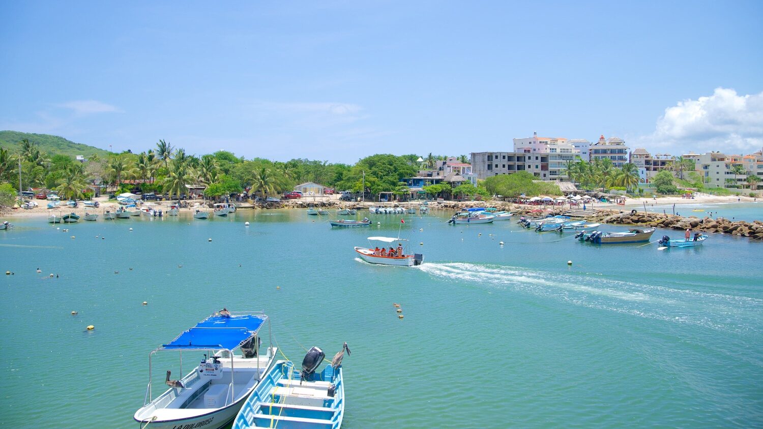 punta mita photo 4