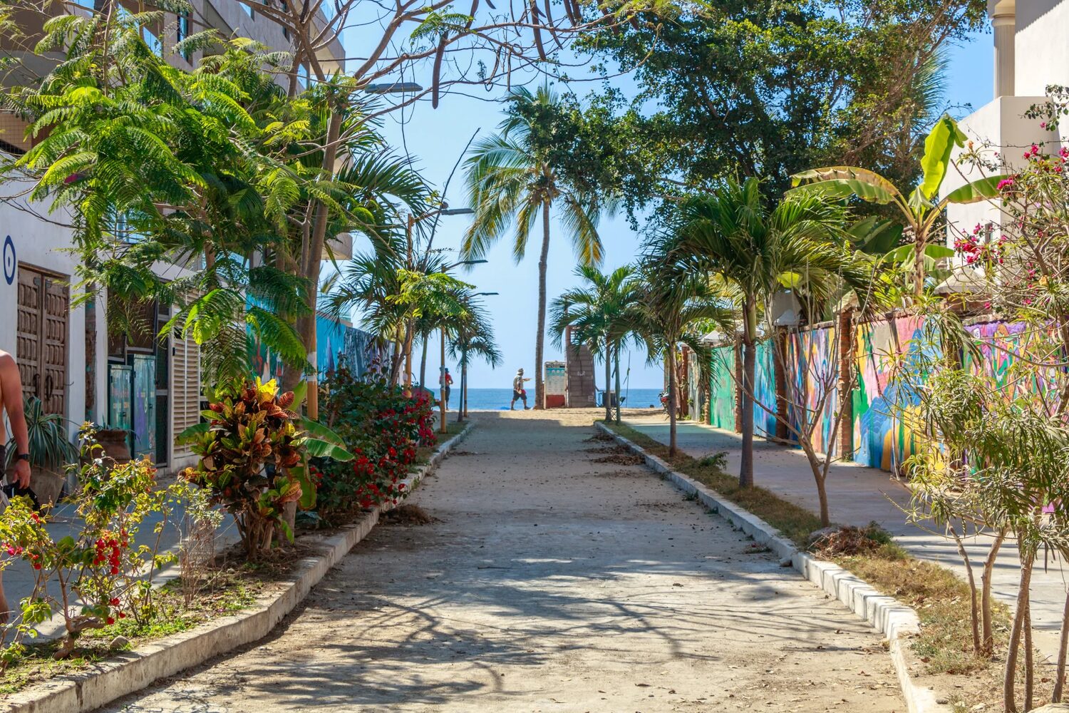 san pancho photo 3